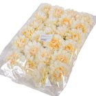 Dália virágfej 1 D7,5cm 24db/csom