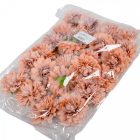 Dália virágfej 20 D7,5cm 24db/csom