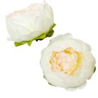 Peónia virágfej 310 D9cm 12db/csom 