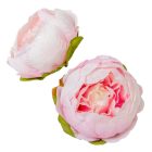 Peónia virágfej 600 D9cm 12db/csom