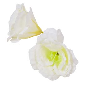 Liziantusz virágfej krém 300 D6,5cm 24db/csom