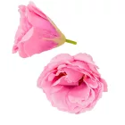 Liziantusz virágfej 615 D6,5 cm 24db/csom