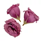 Liziantusz virágfej 822 D6,5 cm 24db/csom