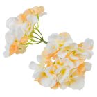 Hortenzia virágfej 313 D12cm 24db/csom