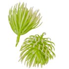 Bogáncs fej 6cm zöld 24db/csom