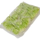 Bogáncs fej 6cm zöld 24db/csom