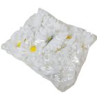 Gerbera virágfej WH D12cm 24db/csom