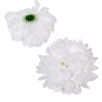 Krizantém virágfej fehér D13cm 6db/csom