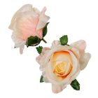 Rózsa virágfej D7cm 24db/csom