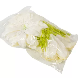 Liliom virágfej D12cm fehér 24db/csom