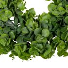 Eukaliptusz koszorú D45cm