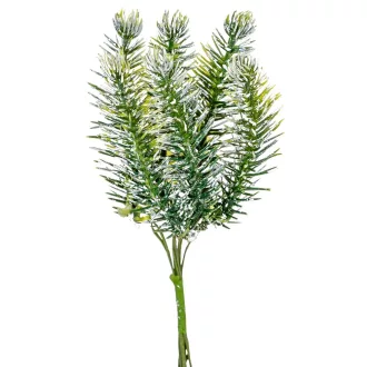 Fenyő pick havas 6 ágú 13cm 12db/csom