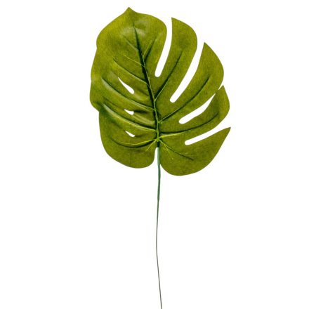 Monsterra levél M36cm 12db/köteg
