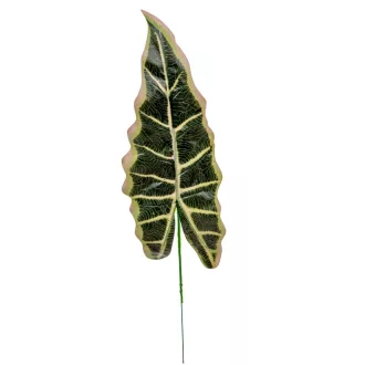 Levél hosszú M50cm 12db/köteg