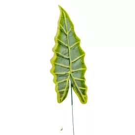 Levél hosszú M50cm 12db/köteg