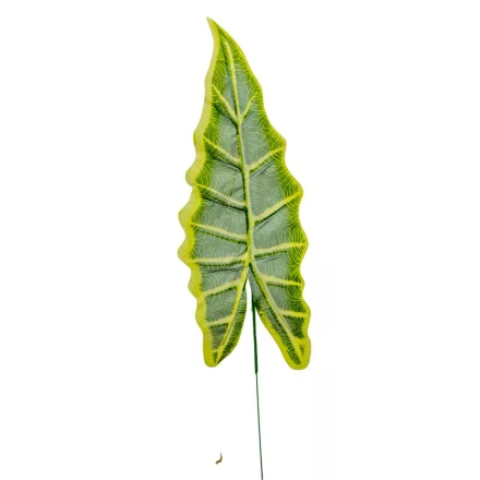 Levél hosszú M50cm 12db/köteg