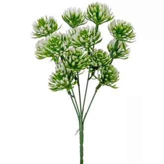 Kövirózsa szálas 5ágú M27cm 250db/#