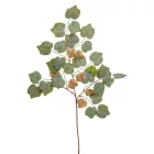 Juhar ág M75cm 12db/köteg