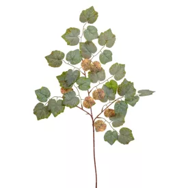 Juhar ág M75cm 12db/köteg