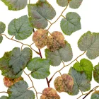 Juhar ág M75cm 12db/köteg