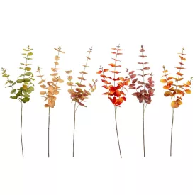 Eukaliptusz ág M75cm 24db/#