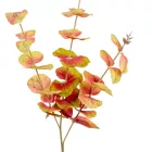 Eukaliptusz ág M75cm 24db/#