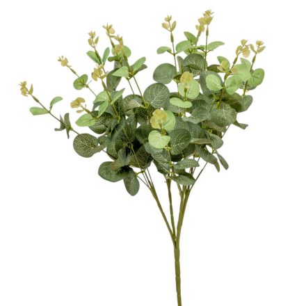 Eukaliptusz bokor 16ágú M48cm 24db/#