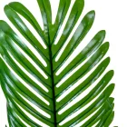 Pálma levél M65cm 12db/köteg