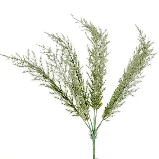 Tuja bokor 7ágú M36cm