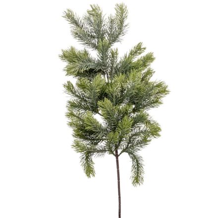 Fenyő ág M62cm 30db/#