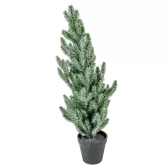 Cserepes fenyő havas M56cm