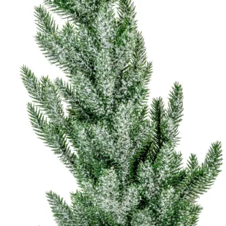 Cserepes fenyő havas M56cm