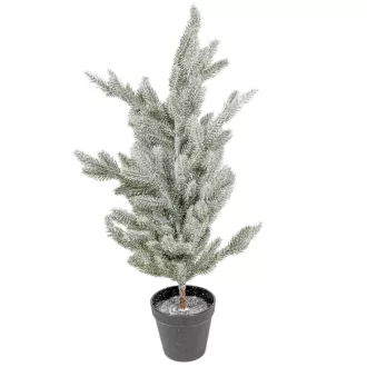 Fenyő cserepes havas M57cm