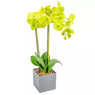 Orchidea cserepes gumi zöld M55cm