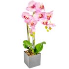 Orchidea cserepes gumi rózsaszín M55cm