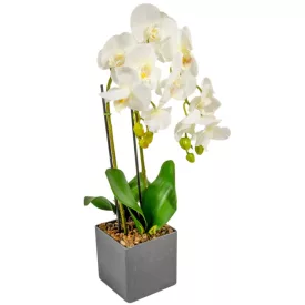 Orchidea cserepes gumi fehér M55cm
