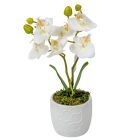 Orchidea cserepes gumi 2ágú fehér M28cm