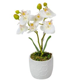 Orchidea cserepes gumi 2ágú fehér M28cm