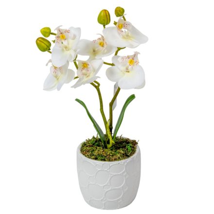 Orchidea cserepes gumi 2ágú fehér M28cm