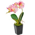 Orchidea cserepes gumi világos rózsaszín M28cm