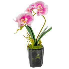 Orchidea cserepes gumi rózsaszín cirkás M28cm