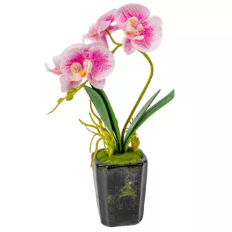 Orchidea cserepes gumi rózsaszín cirkás M28cm