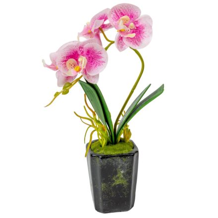 Orchidea cserepes gumi rózsaszín cirkás M28cm