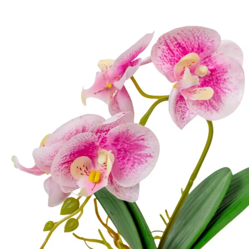 Orchidea cserepes gumi rózsaszín cirkás M28cm
