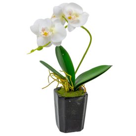 Orchidea cserepes gumi fehér M28cm
