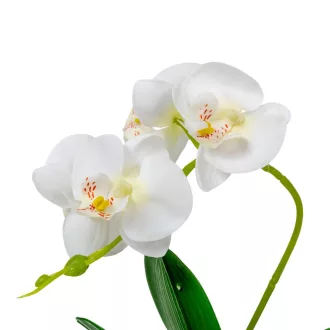 Orchidea cserepes gumi fehér M28cm