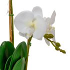 Orchidea cserepes gumi 2ágú fehér M47cm
