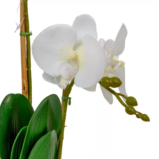 Orchidea cserepes gumi 2ágú fehér M47cm
