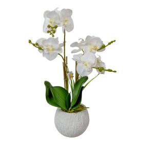 Orchidea cserepes gumi 4ágú fehér M50cm