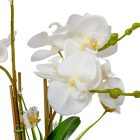 Orchidea cserepes gumi 4ágú fehér M50cm